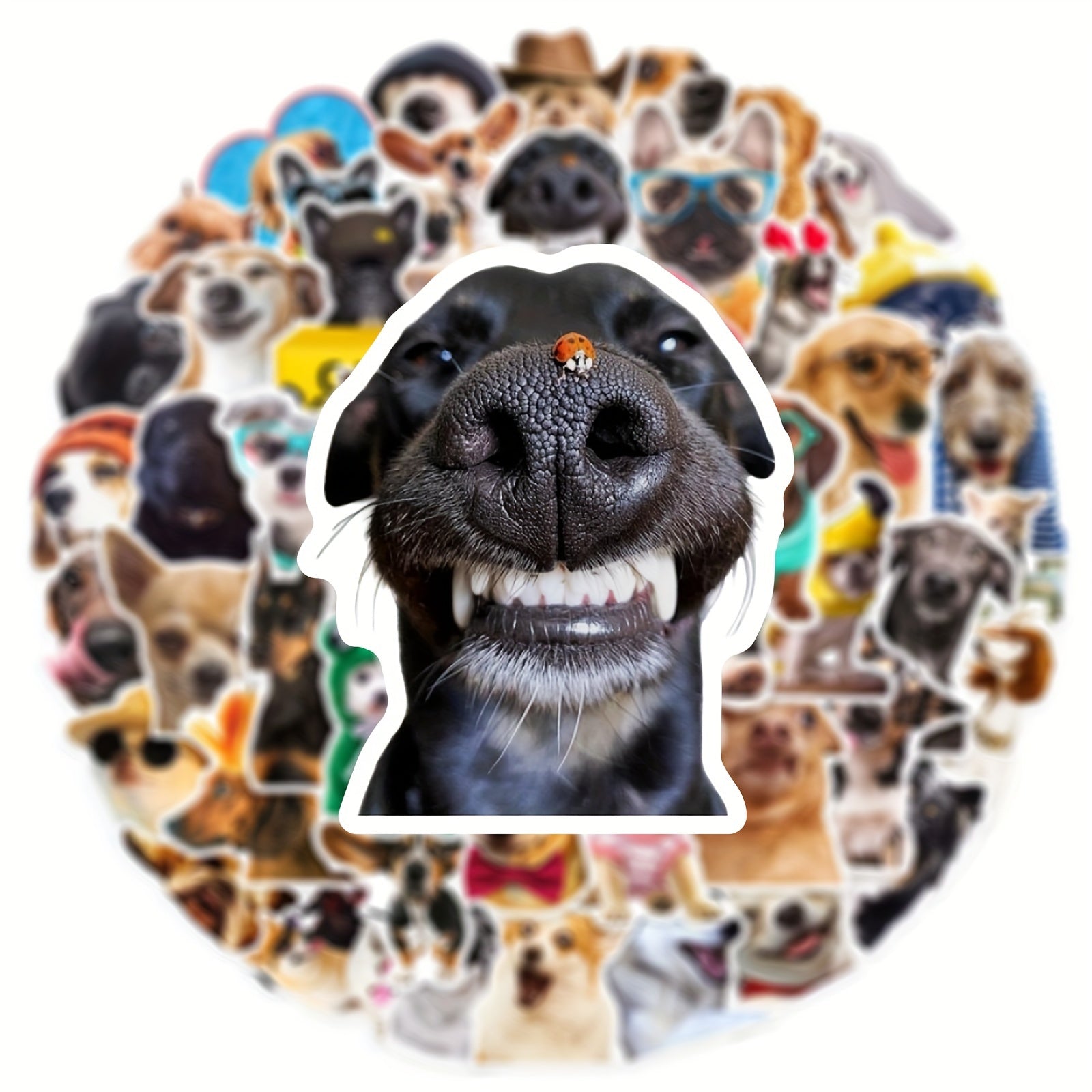 50 Pegatinas de perros divertidos