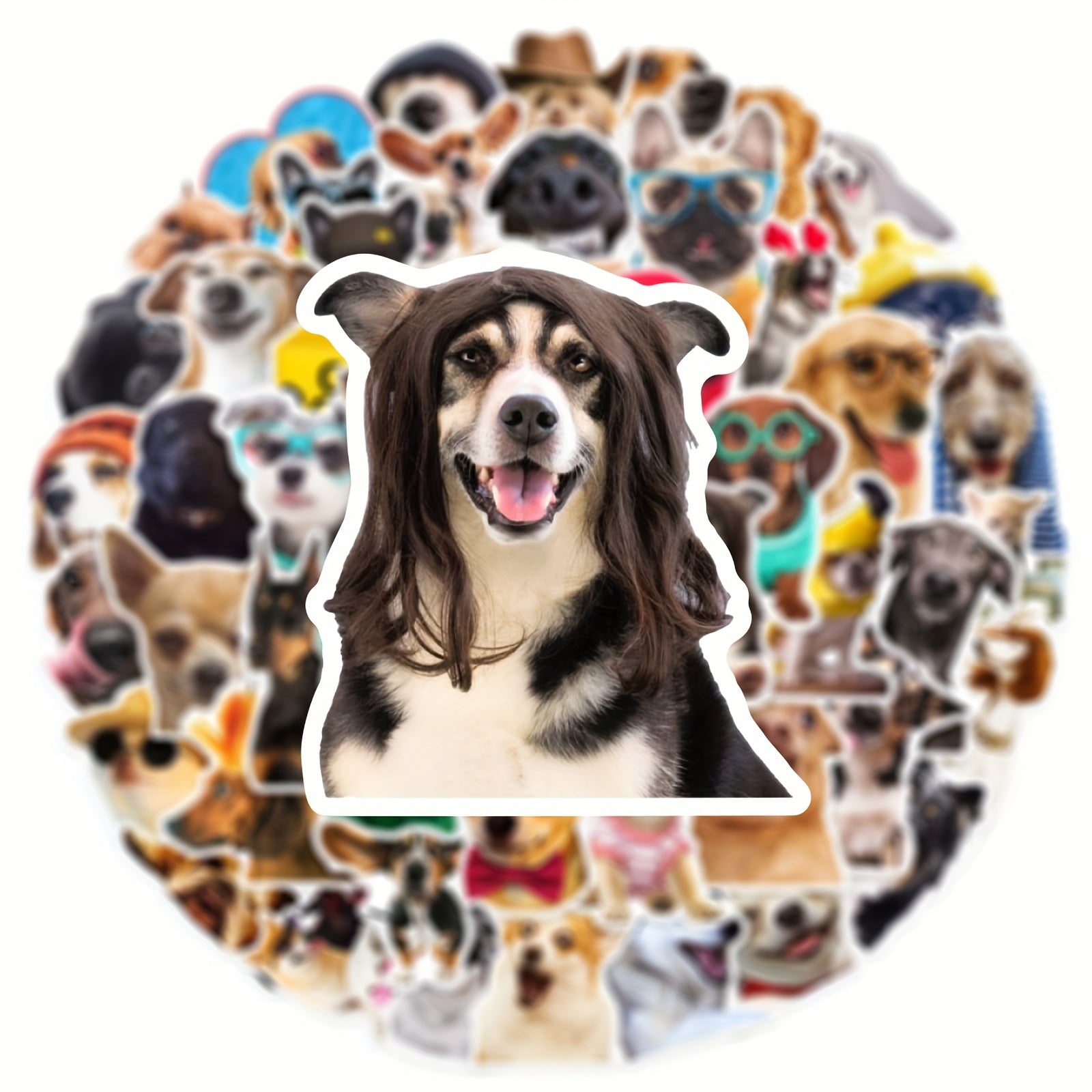 50 Pegatinas de perros divertidos