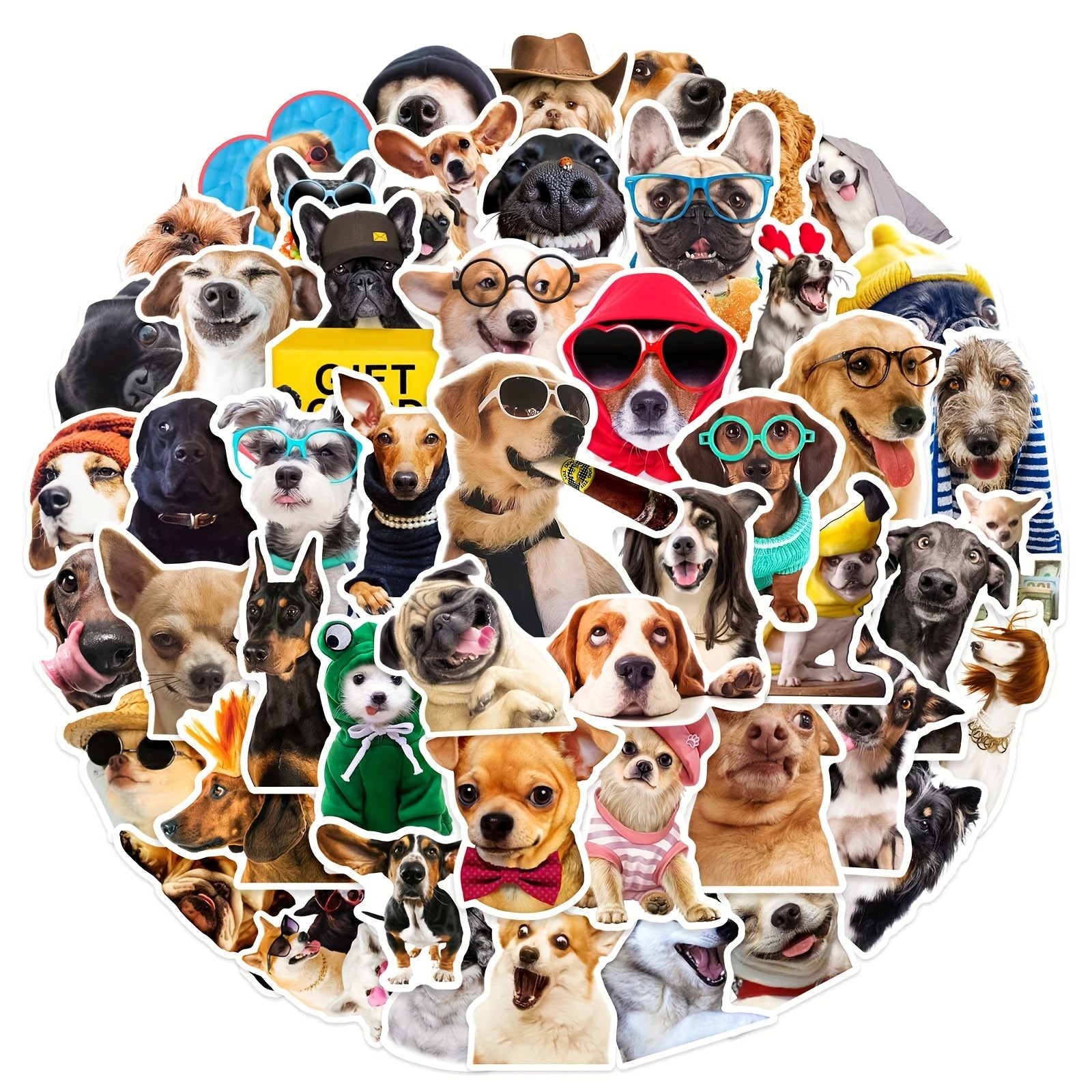 50 Pegatinas de perros divertidos